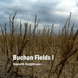 Buchan Fields I